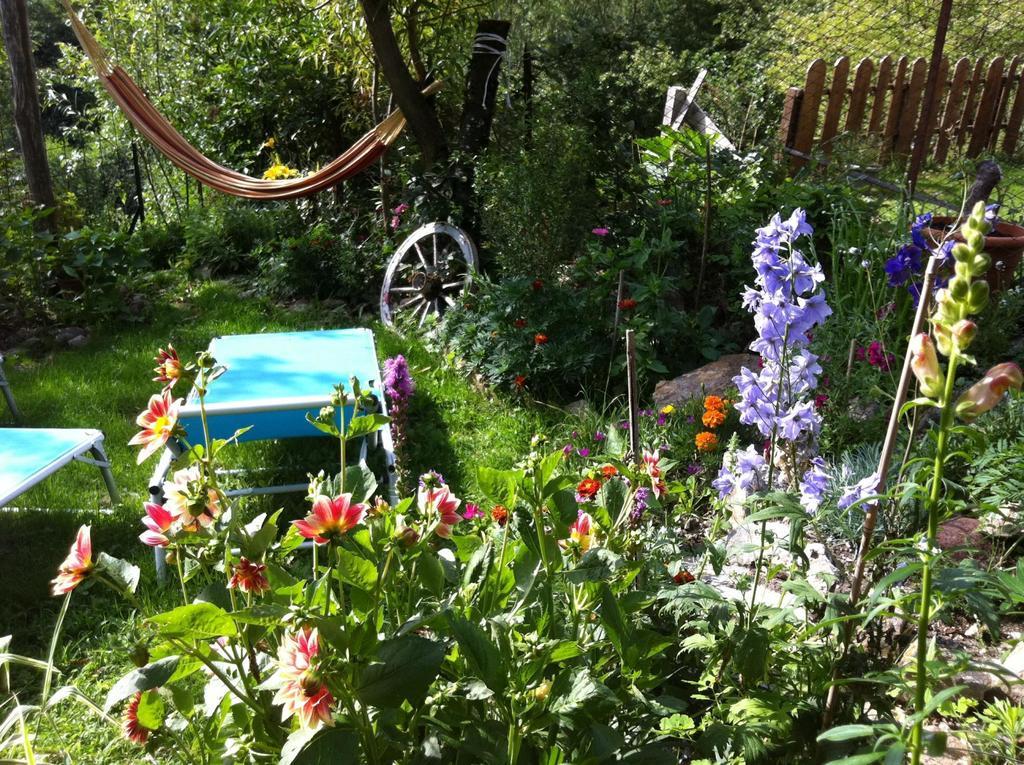 B&B Alba Sul Lago Pergine Valsugana Exterior photo